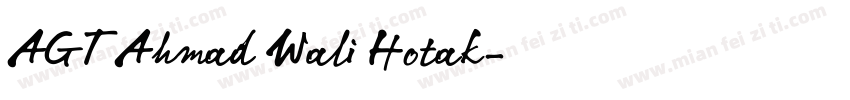 AGT Ahmad Wali Hotak字体转换